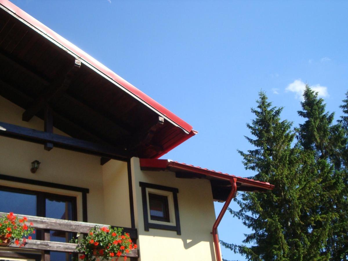 Готель Casa Cu Flori Буштені Екстер'єр фото
