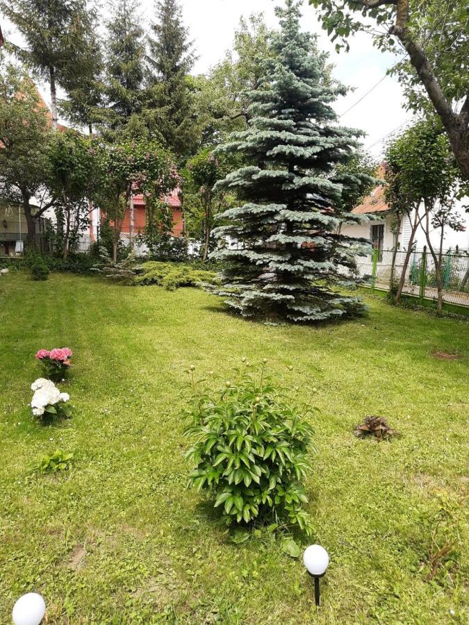 Готель Casa Cu Flori Буштені Екстер'єр фото