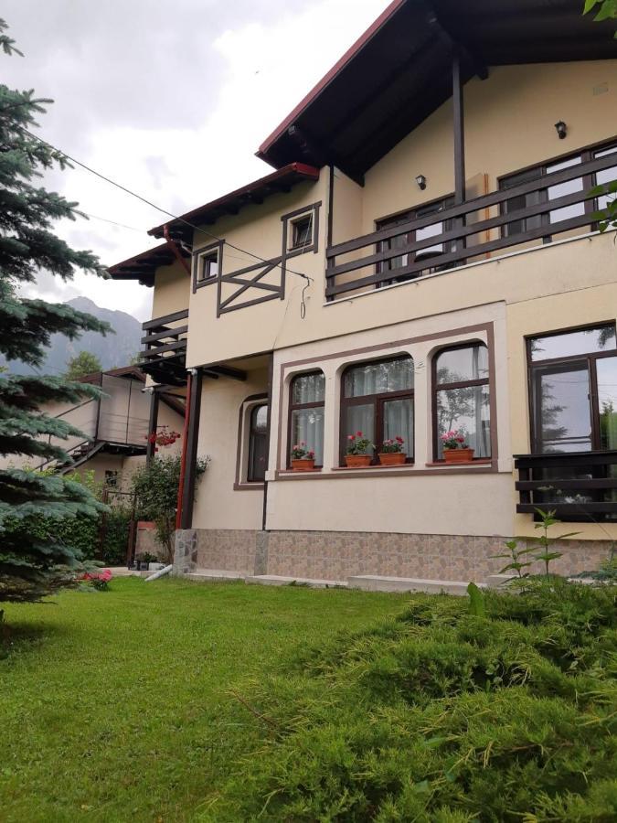Готель Casa Cu Flori Буштені Екстер'єр фото