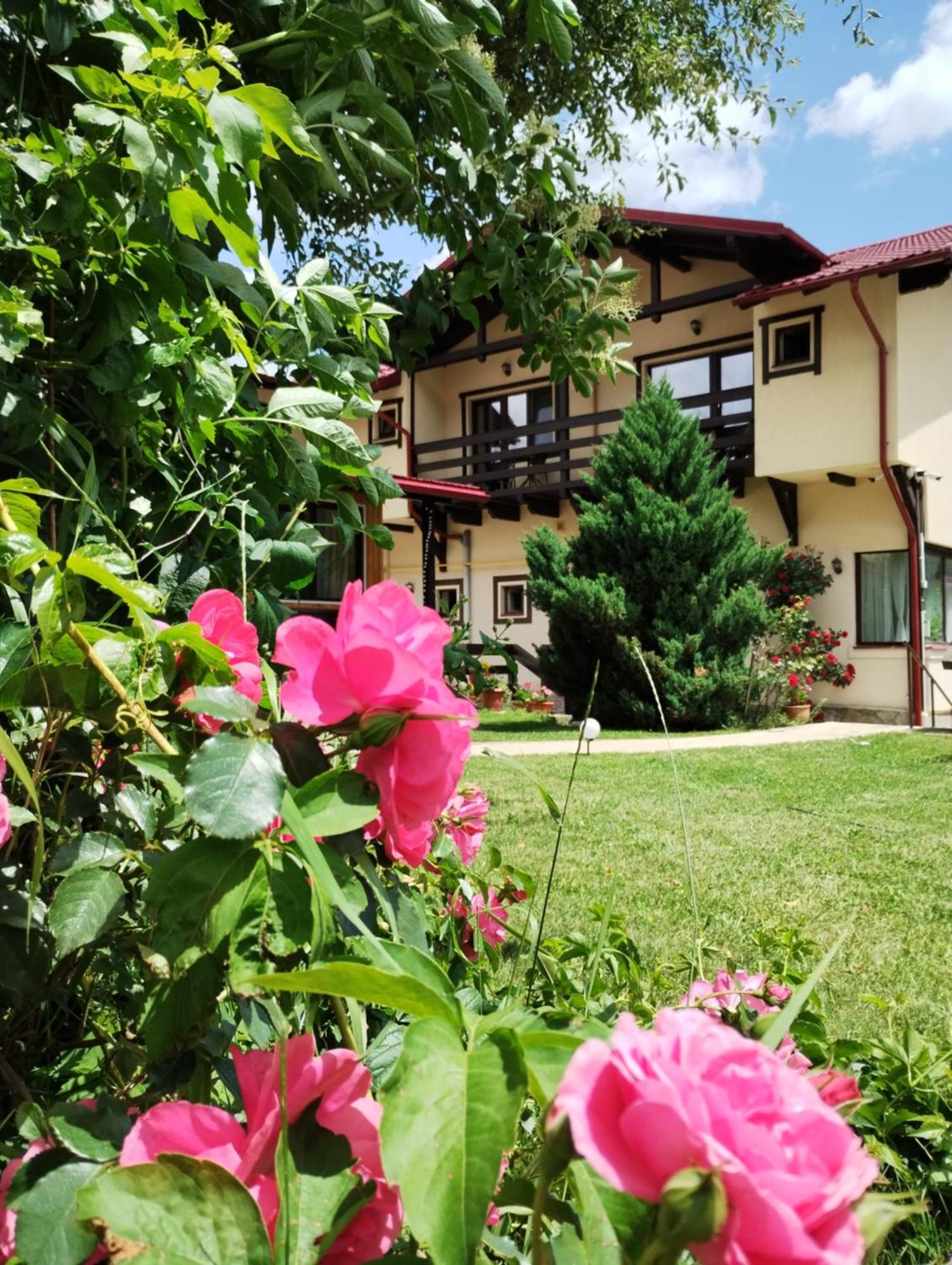 Готель Casa Cu Flori Буштені Екстер'єр фото